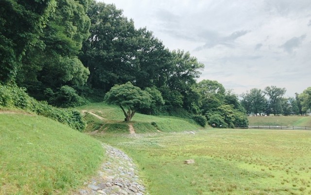 写真 2022-06-18 9 54 53.jpg