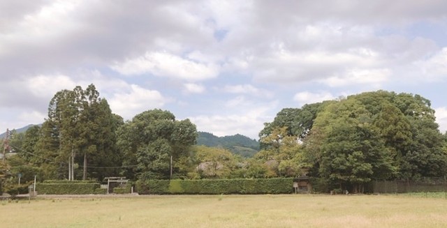 写真 2022-09-14 12 07 18.jpg