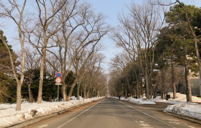 写真 2023-03-12 9 30 56.jpg