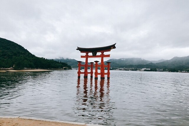 写真 2024-09-22 9 28 50.jpg