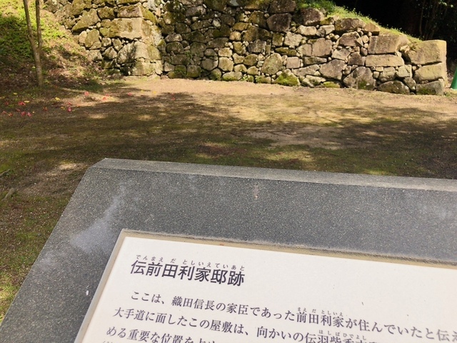 IMG_6163.JPG